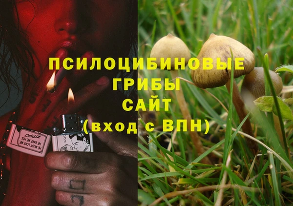 спиды Аркадак