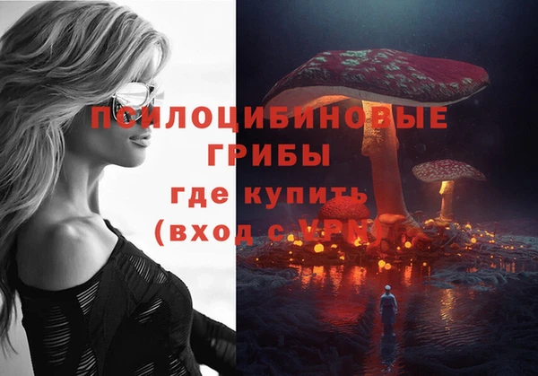 амф Балахна