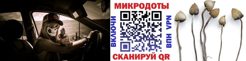 что такое   дарк нет наркотические препараты  Галлюциногенные грибы Cubensis  Куртамыш 